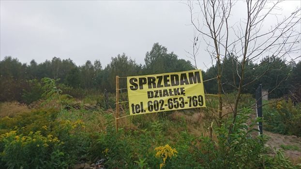 Działka budowlana na sprzedaż Stanisławów, Tartaczna 1 407m2 Foto 5