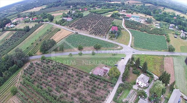Działka inwestycyjna na sprzedaż Skowieszynek 4 300m2 Foto 3