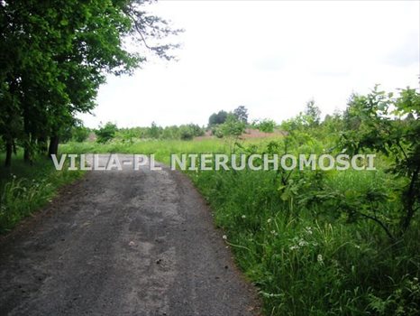 Działka budowlana na sprzedaż Łódź, Bałuty 5 000m2 Foto 2