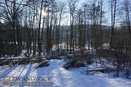 Działka inna na sprzedaż Januszowice 11 700m2 Foto 3
