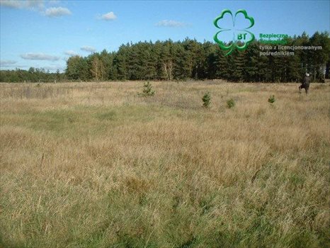 Działka budowlana na sprzedaż Silna, Silna 2 300m2 Foto 2