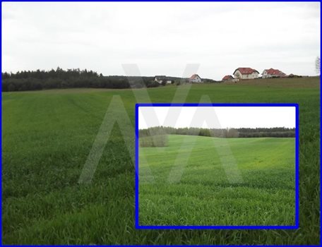 Działka siedliskowa na sprzedaż Trąbki Małe, Las, Przy lesie 23 300m2 Foto 3