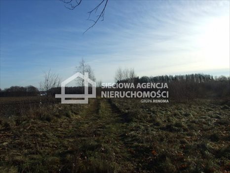 Działka budowlana na sprzedaż Tokary 1 444m2 Foto 4