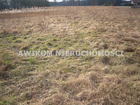 Działka budowlana na sprzedaż Skierniewice, Ruda 4 600m2 Foto 6
