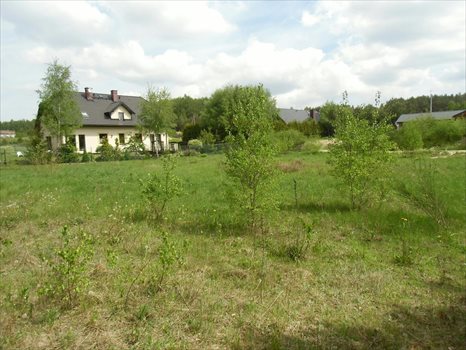 Działka budowlana na sprzedaż Bojano, Okrężna 2 565m2 Foto 6