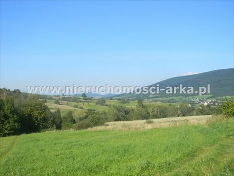 Działka budowlana na sprzedaż Dobra 1 700m2 Foto 4