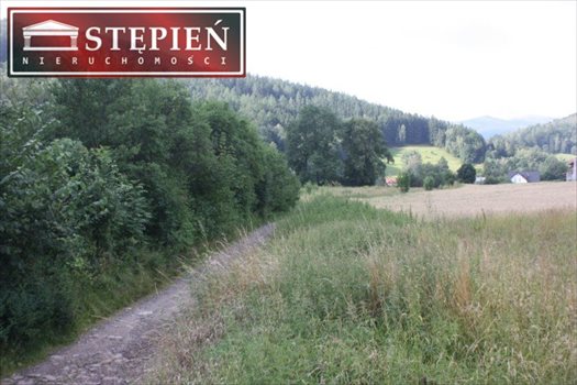 Działka inna na sprzedaż Jelenia Góra 17 625m2 Foto 4