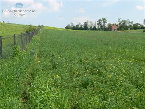 Działka budowlana na sprzedaż Masłomiąca, Choinkowa 1 200m2 Foto 1