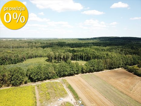 Dom na sprzedaż Bytom, Tęczowa 174m2 Foto 9