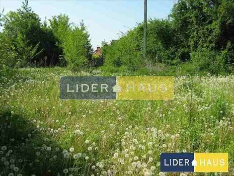 Działka budowlana na sprzedaż Nowy Dziekanów 2 193m2 Foto 4