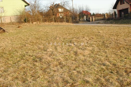Działka inna na sprzedaż Gaj 8 000m2 Foto 2