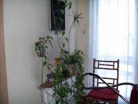 Dom na sprzedaż Poznań, Grunwald, Junikowska 200m2 Foto 7