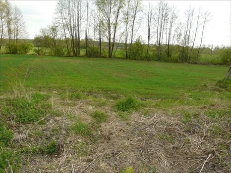 Działka inna na sprzedaż Majdan Krasieniński, Niemce 2 184m2 Foto 7