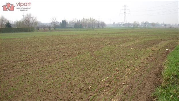 Działka rekreacyjna na sprzedaż Ligota 20 000m2 Foto 2