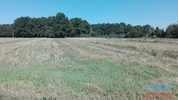 Działka budowlana na sprzedaż Międzyrzecze 1 500m2 Foto 1