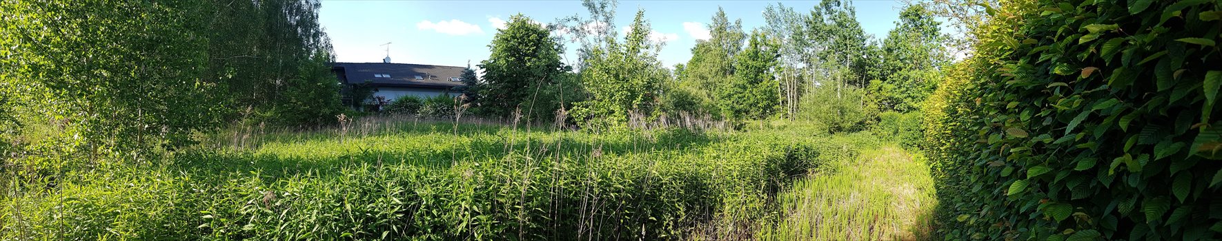 Działka budowlana na sprzedaż Łoś, Lipowa 1G 937m2 Foto 5