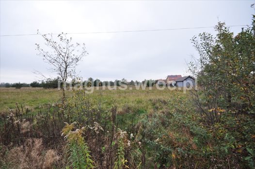 Działka budowlana na sprzedaż Chrząstawa Wielka 1 126m2 Foto 2