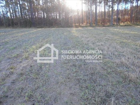 Działka budowlana na sprzedaż Rokity 1 246m2 Foto 9
