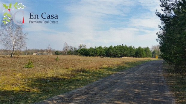 Działka budowlana na sprzedaż Pasikonie 13 702m2 Foto 3