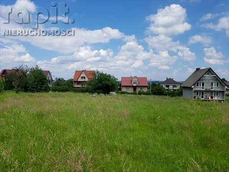 Działka budowlana na sprzedaż Borzęta 2 700m2 Foto 4