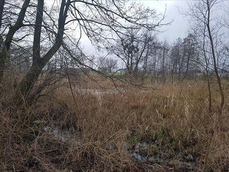 Działka budowlana na sprzedaż Otusz, Otusz 2 375m2 Foto 6