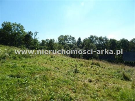 Działka budowlana na sprzedaż Olszówka 1 900m2 Foto 2
