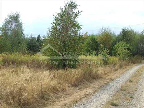 Działka budowlana na sprzedaż Nowodwór 2 800m2 Foto 7