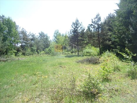 Działka inna na sprzedaż Biały Ług 4 100m2 Foto 2