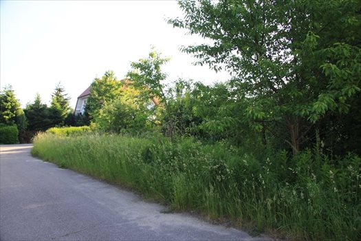 Działka budowlana na sprzedaż Łoś, Lipowa 1G 937m2 Foto 6