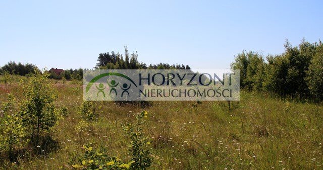 Działka budowlana na sprzedaż Bojano 1 000m2 Foto 5