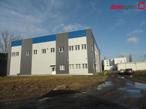 Lokal użytkowy na wynajem Toruń 330m2 Foto 3