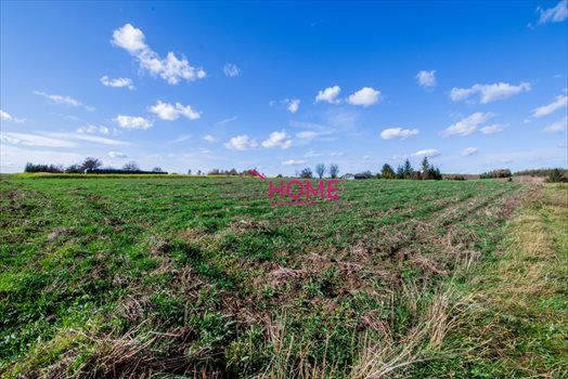 Działka budowlana na sprzedaż Błędowa Zgłobieńska 5 000m2 Foto 4