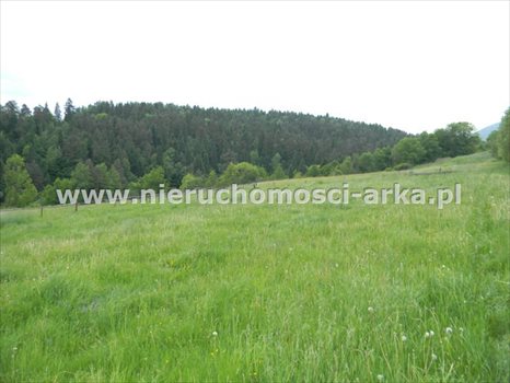 Działka budowlana na sprzedaż Mszana Dolna 2 400m2 Foto 4