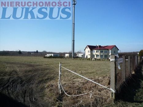 Działka budowlana na sprzedaż Łoś, Łoś 1 500m2 Foto 3