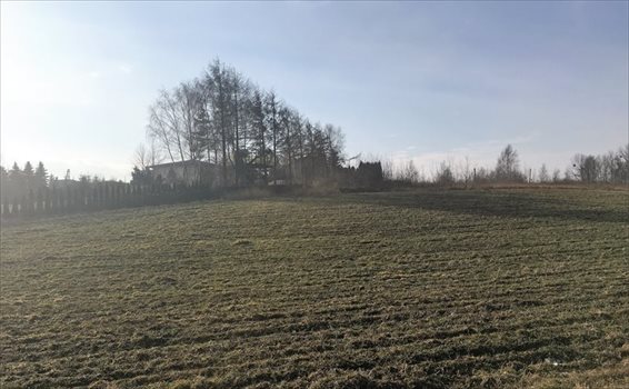 Działka budowlana na sprzedaż Mikołów, Gniotek, Rolnicza 771m2 Foto 1