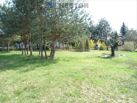 Działka inna na sprzedaż Nowy Prażmów 2 246m2 Foto 1