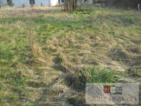 Działka budowlana na sprzedaż Kotórz Mały 800m2 Foto 3