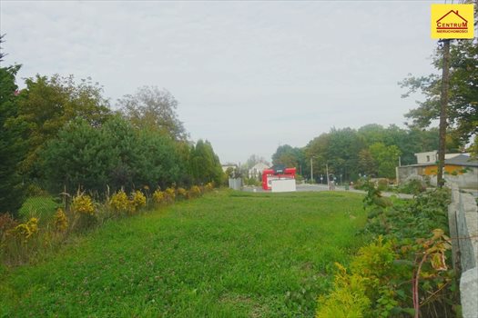 Działka inna pod dzierżawę Pszów 1 003m2 Foto 5