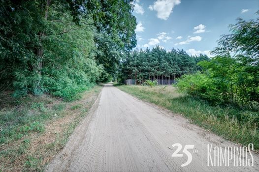 Działka rolna na sprzedaż Łazy, Kampinos, oferta 1649 10 000m2 Foto 4