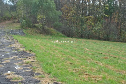 Działka budowlana na sprzedaż Siercza 4 700m2 Foto 7
