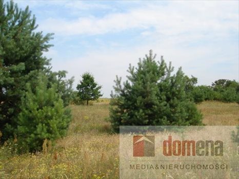 Działka budowlana na sprzedaż Bledzew, Elektrownia 1 000m2 Foto 6