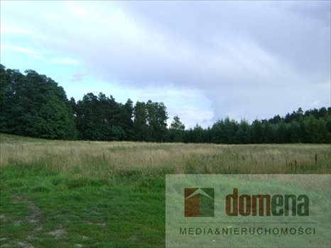 Działka budowlana na sprzedaż Kolonia Kęszyca 1 000m2 Foto 8