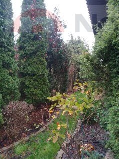 Dom na wynajem Poznań, Smochowice 130m2 Foto 4