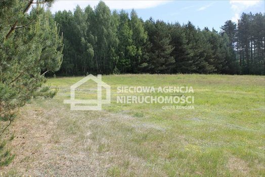 Działka budowlana na sprzedaż Lubowidz 955m2 Foto 2