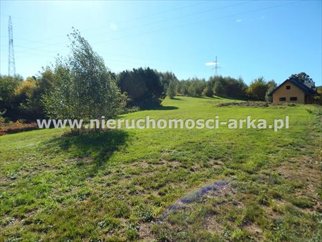 Działka budowlana na sprzedaż Skrzydlna 4 500m2 Foto 4
