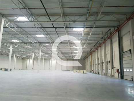 Lokal użytkowy na wynajem Elbląg 3 780m2 Foto 3