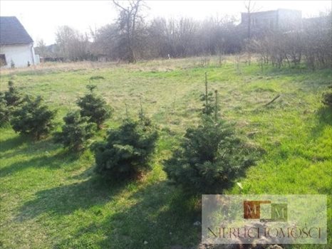 Działka budowlana na sprzedaż Kotórz Mały 1 623m2 Foto 1