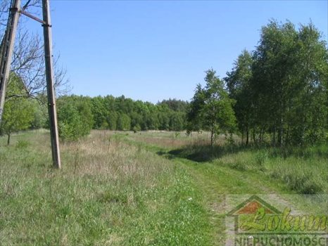 Działka rolna na sprzedaż Łukęcin 1 000m2 Foto 6