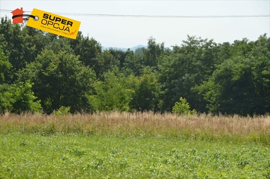 Działka budowlana na sprzedaż Zabierzów, Balice, Akacjowa 1 200m2 Foto 8