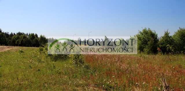 Działka budowlana na sprzedaż Bojano 1 000m2 Foto 7